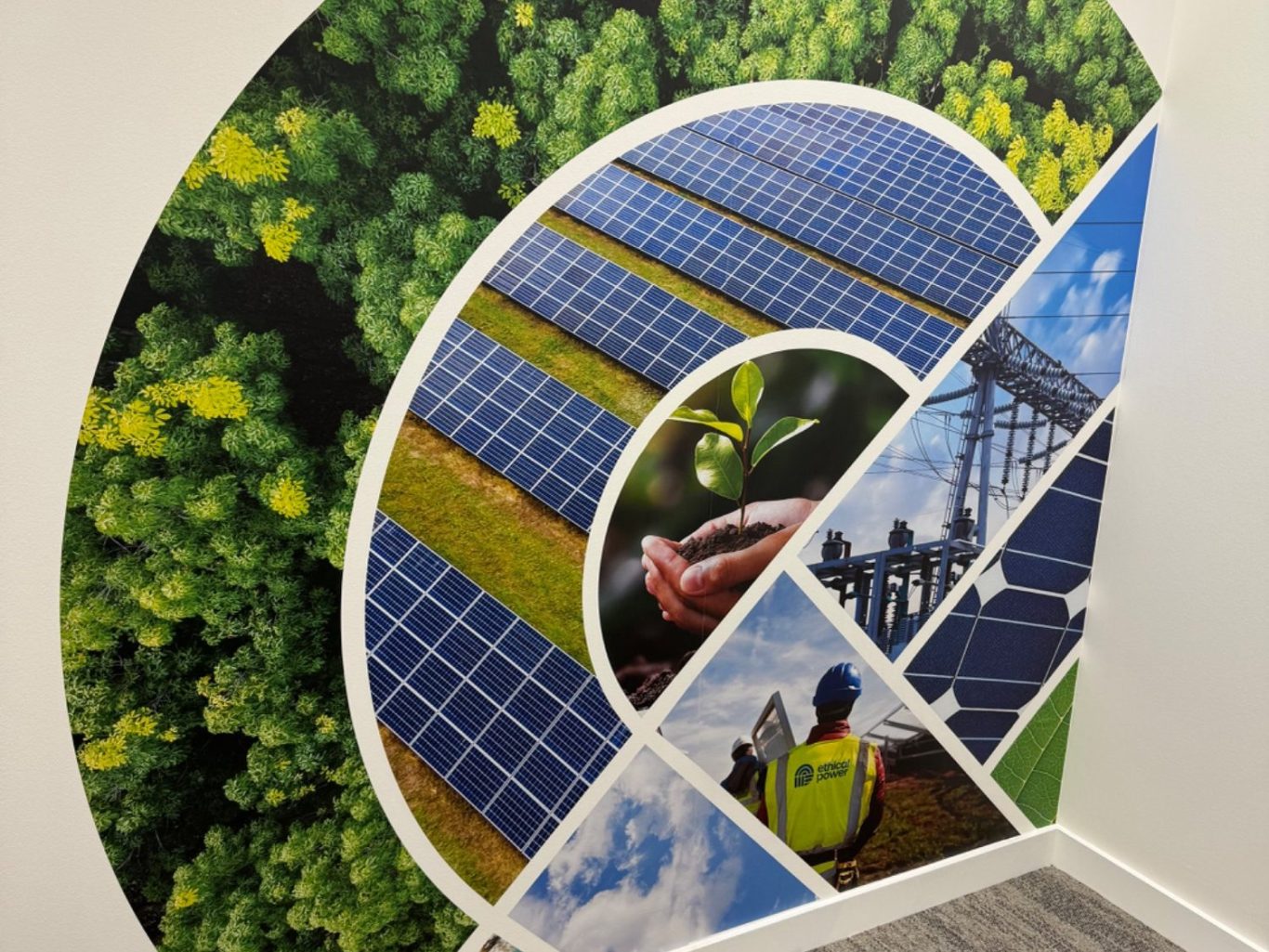 Wall graphic collage installation | The Vinyl Bay Wall graphic installation for office with collage of images.